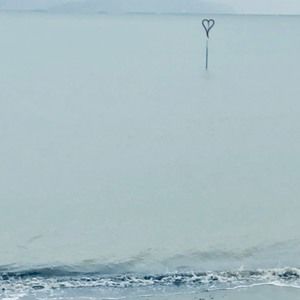 Meet your Posher, Elshia